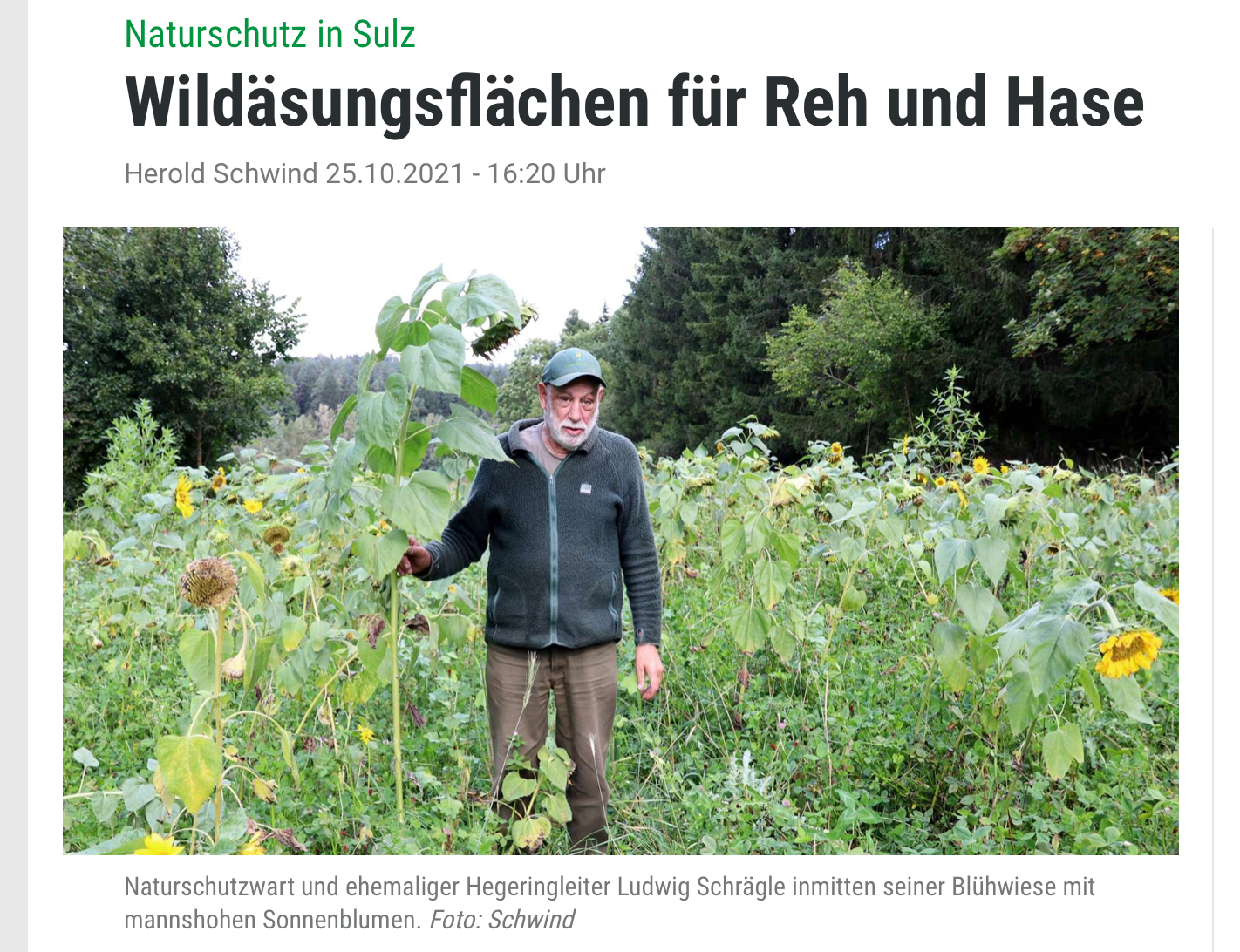 Wildäsungsflächen für Reh und Hase