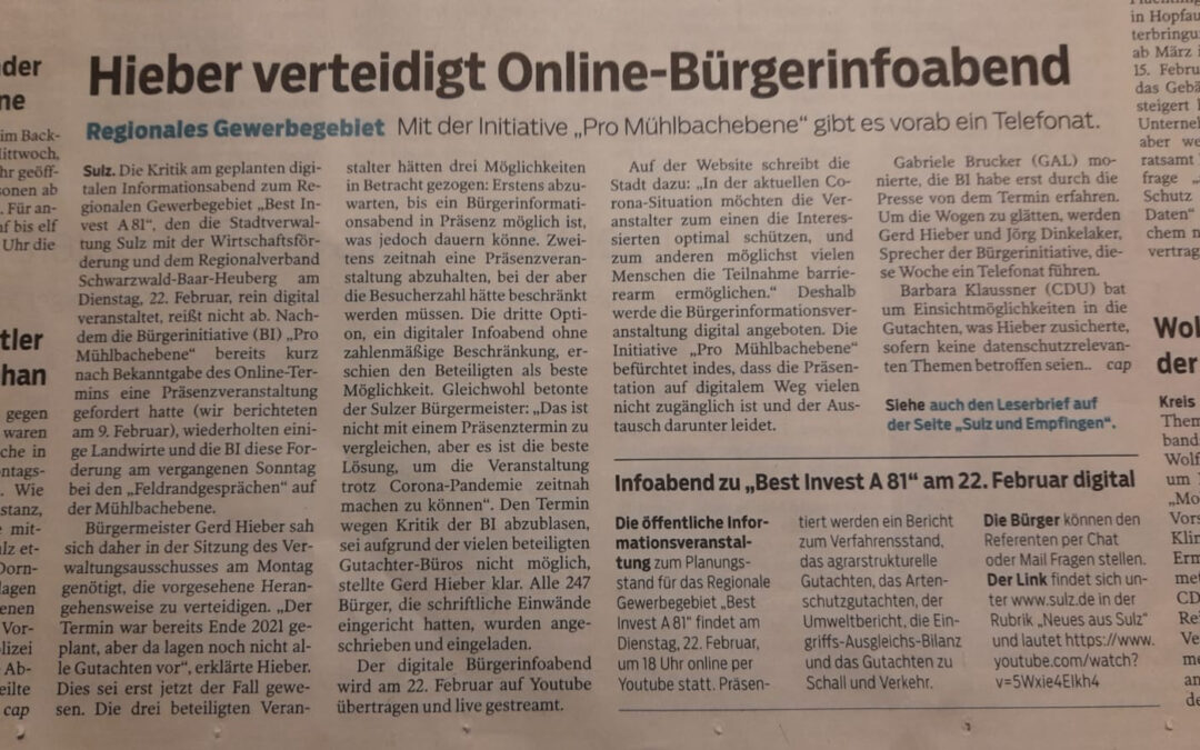 Online-Bürgerinfoabend